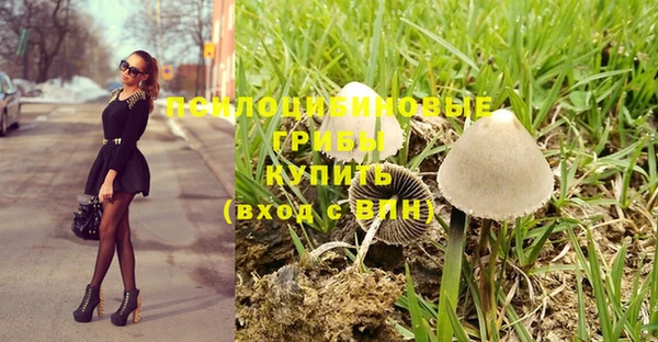 spice Домодедово