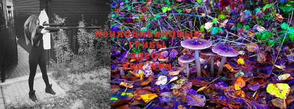 бошки Березники